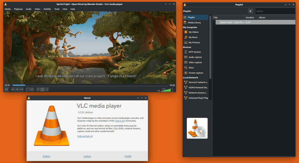 VLC Media Player 2025